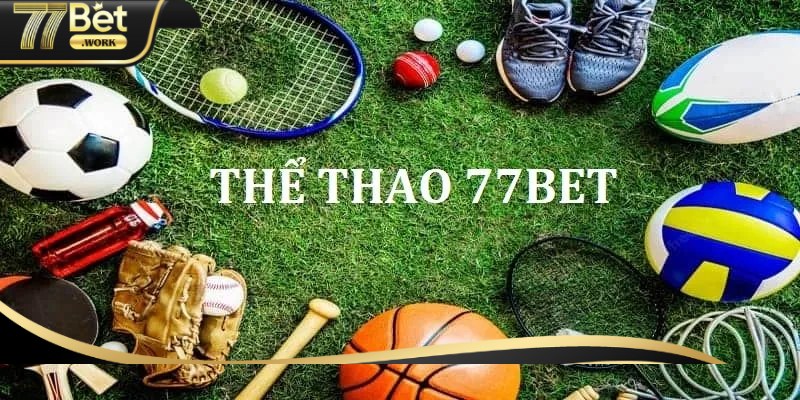 Giới thiệu 77Bet – Tổng hợp đầy đủ thông tin